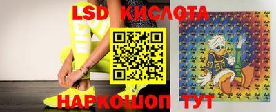 мяу мяу мука Краснокаменск