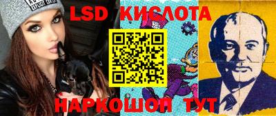шишки Краснознаменск