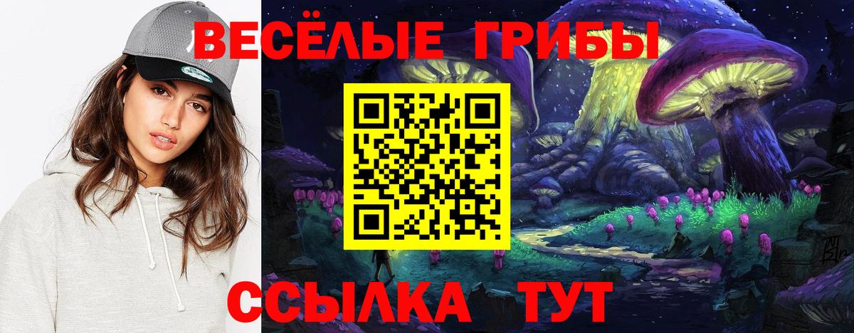 Галлюциногенные грибы GOLDEN TEACHER  Псилоцибиновые грибы мухоморы  Домодедово  Вход с VPN 